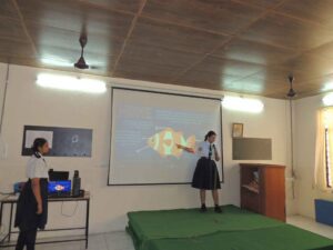 Presentation