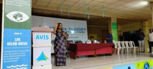 avi international school